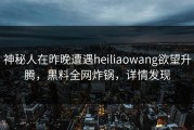 神秘人在昨晚遭遇heiliaowang欲望升腾，黑料全网炸锅，详情发现