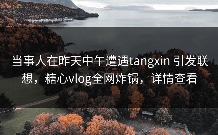 当事人在昨天中午遭遇tangxin 引发联想，糖心vlog全网炸锅，详情查看
