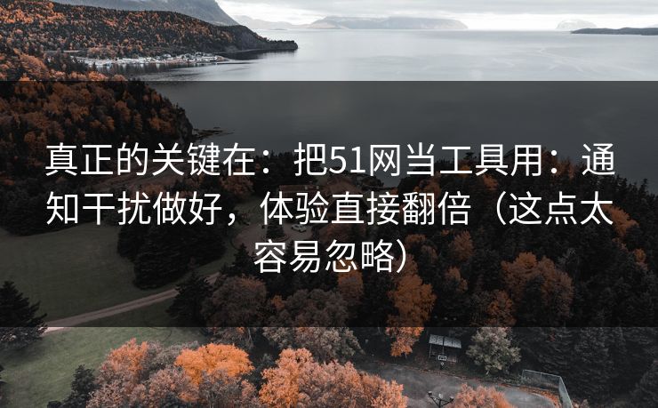 真正的关键在：把51网当工具用：通知干扰做好，体验直接翻倍（这点太容易忽略）